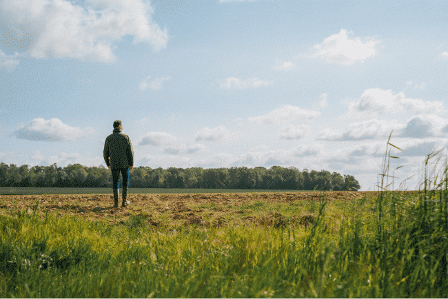 Solutions pour une gestion optimale de l'après-récolte