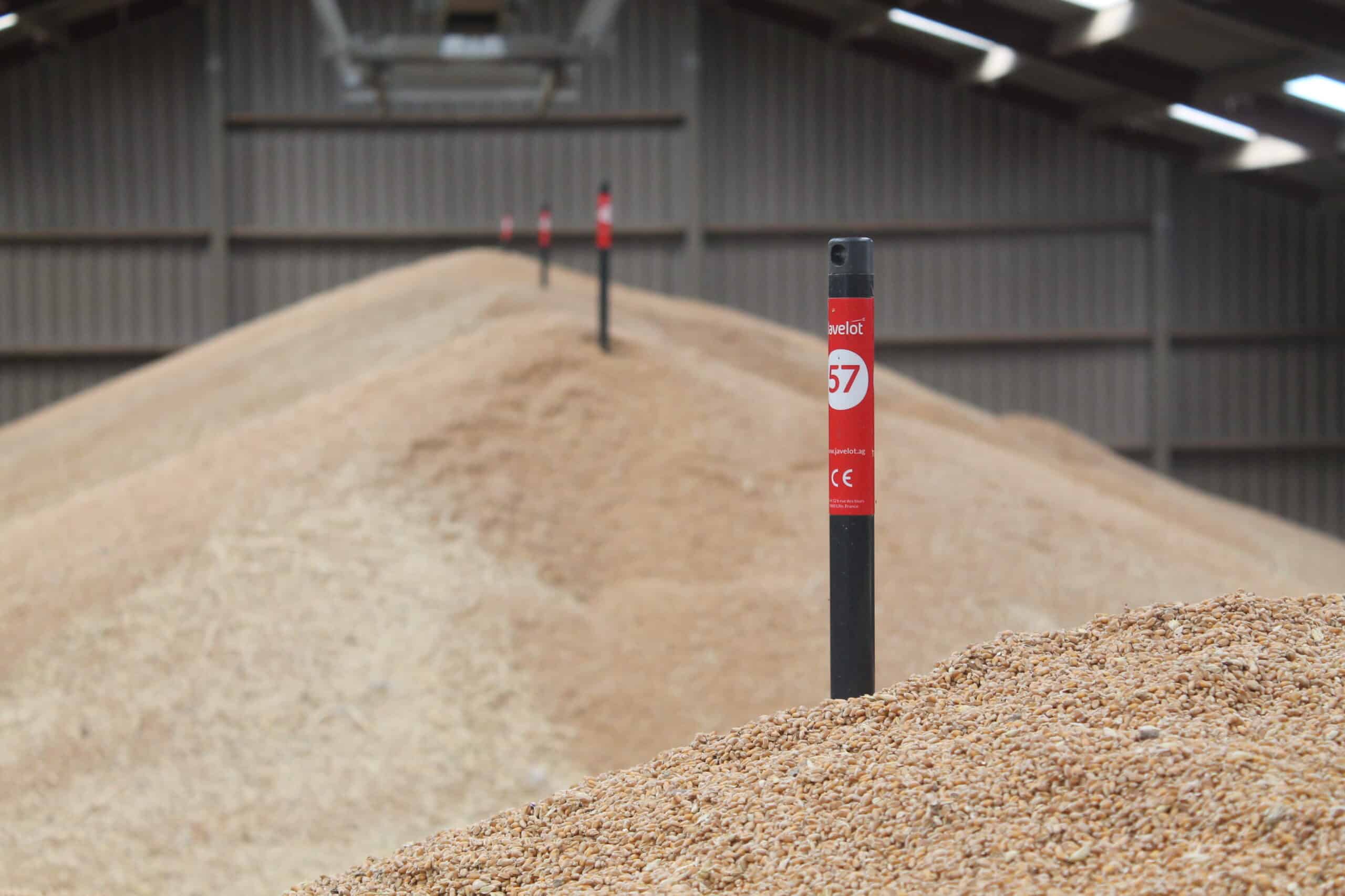 Sonde température à grain