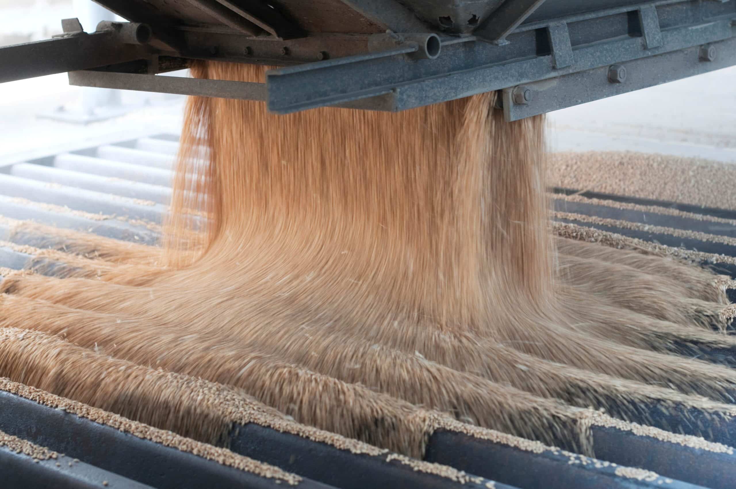 Silo à grain